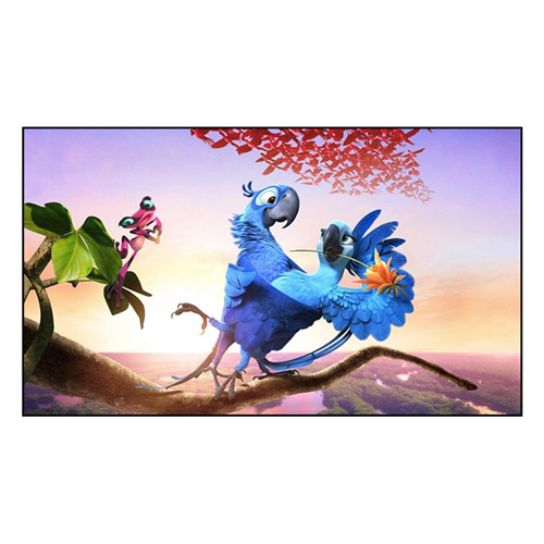 Wie verbessert ein Bildschirm mit festem Rahmen Ihr Seherlebnis?